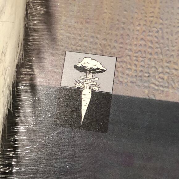 New Shone Heat Thing Vinyl - Picture 7 of 7